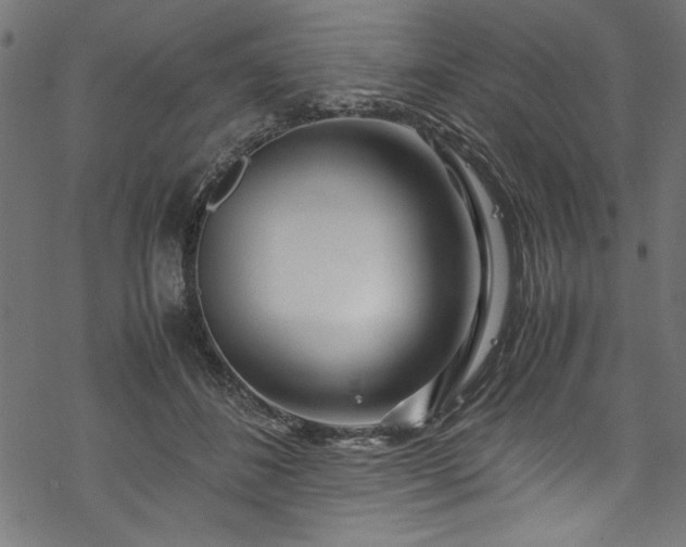 X0000070210508200605301406