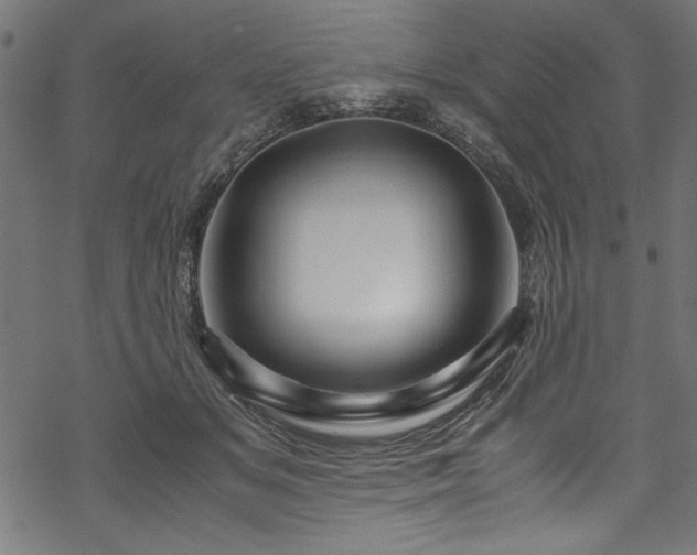 X0000070210509200605301406