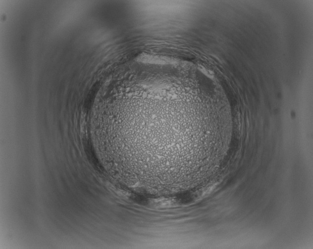 X0000070210511200605301406