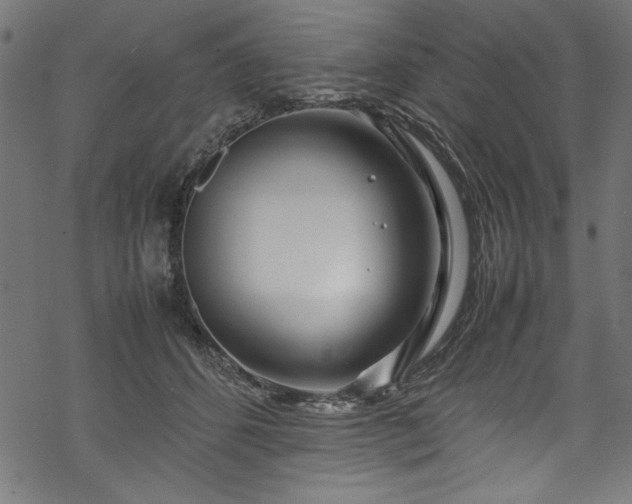 X0000070210512200605301406