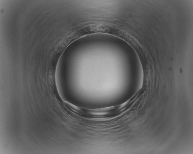 X0000070210513200605301406