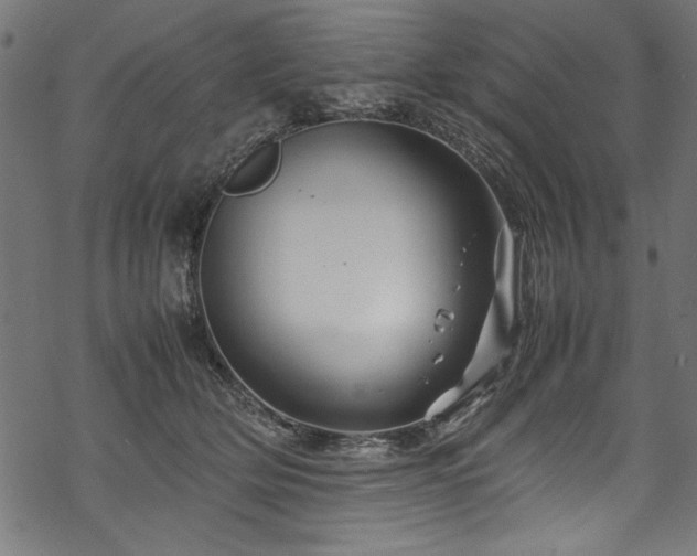 X0000070210514200605301406