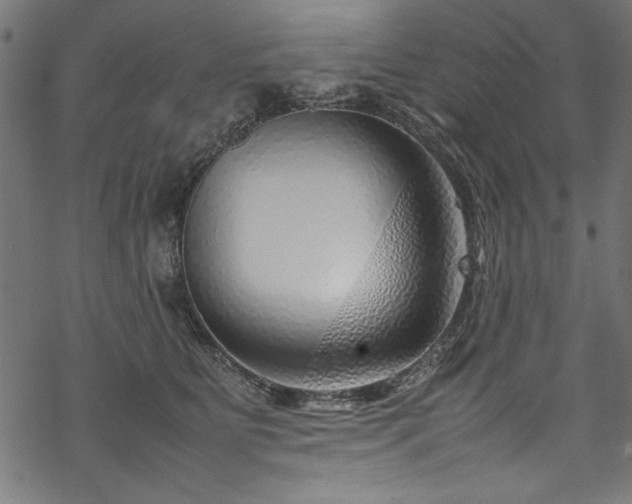 X0000070210515200605301406