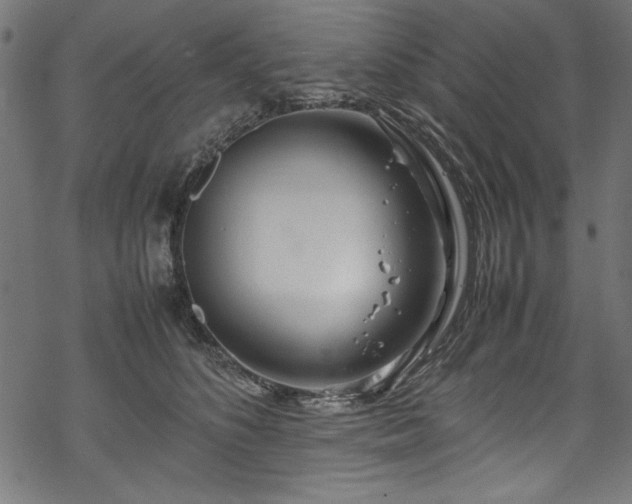 X0000070210516200605301406