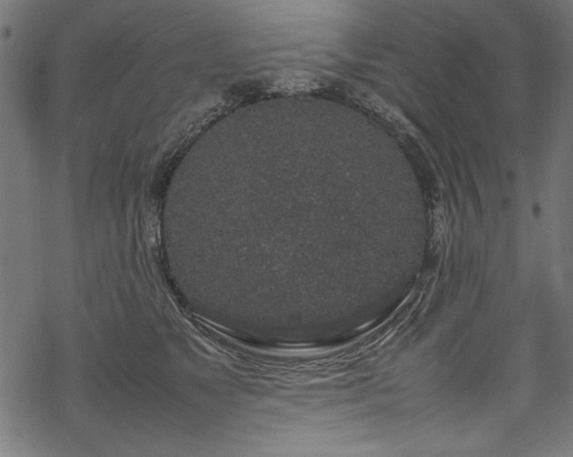 X0000070210517200605301406