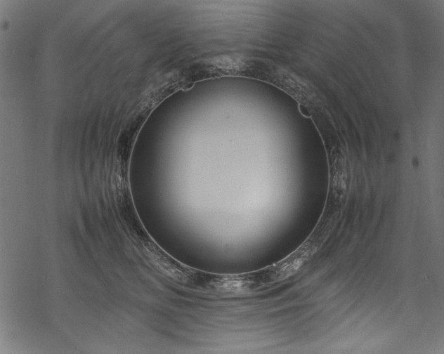 X0000070210518200605301405