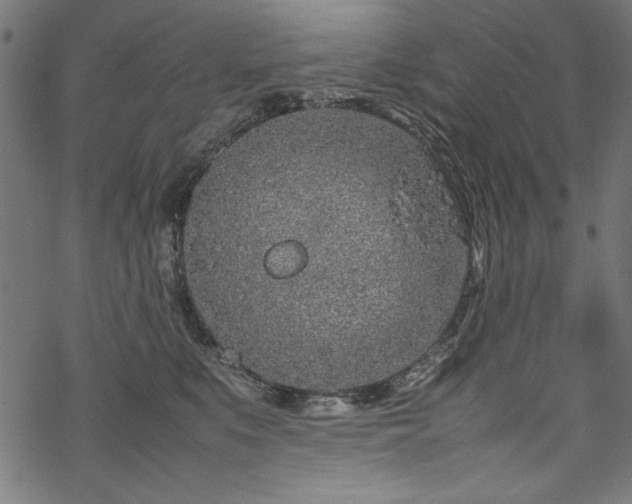 X0000070210519200605301405