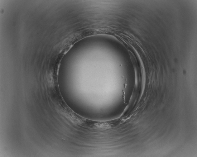 X0000070210520200605301405