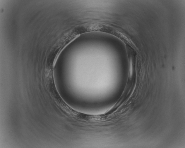 X0000070210521200605301405