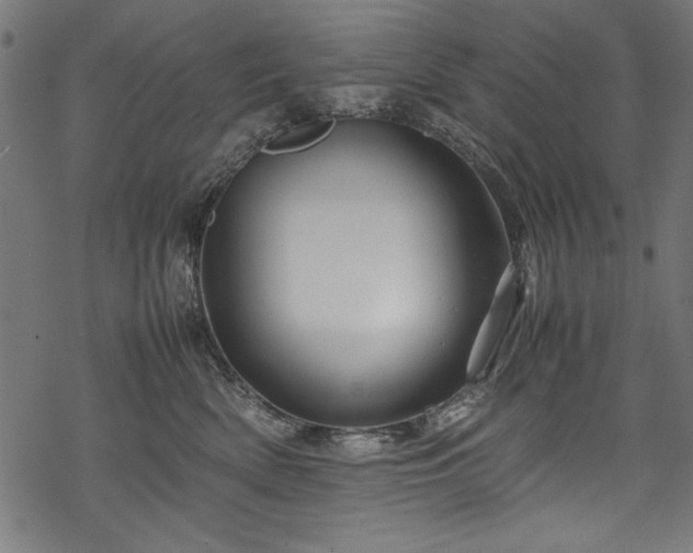 X0000070210522200605301405