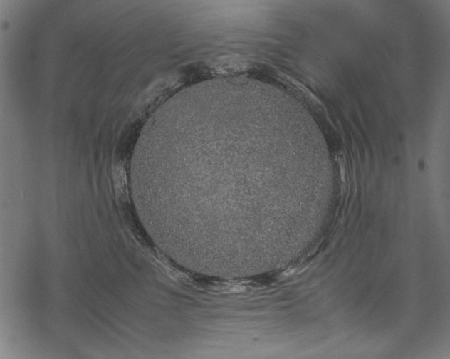 X0000070210523200605301405