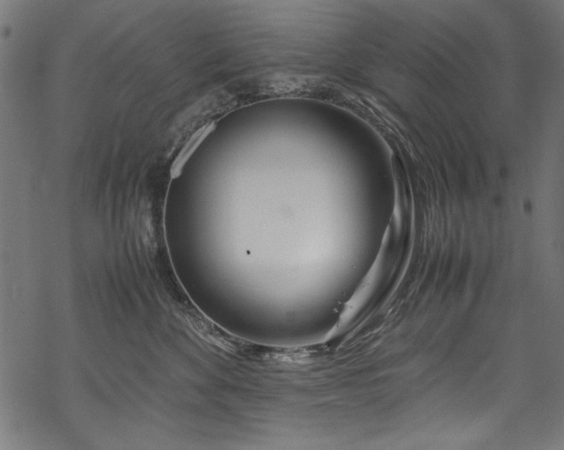 X0000070210524200605301405