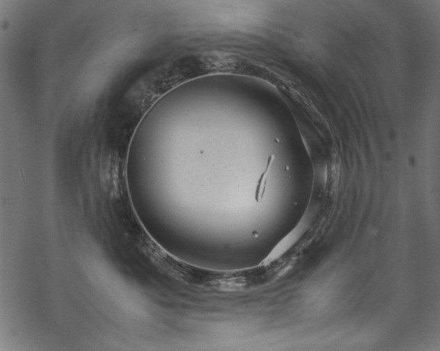 X0000070210525200605301405