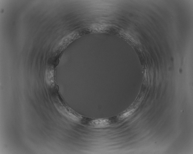 X0000070210526200605301405