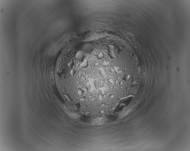 X0000070210527200605301405