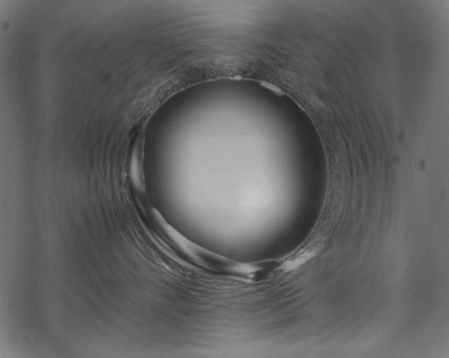 X0000070210528200605301405