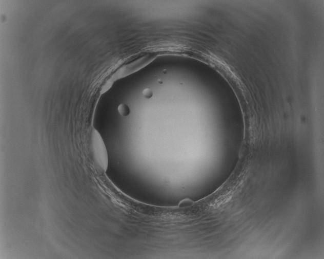 X0000070210529200605301405