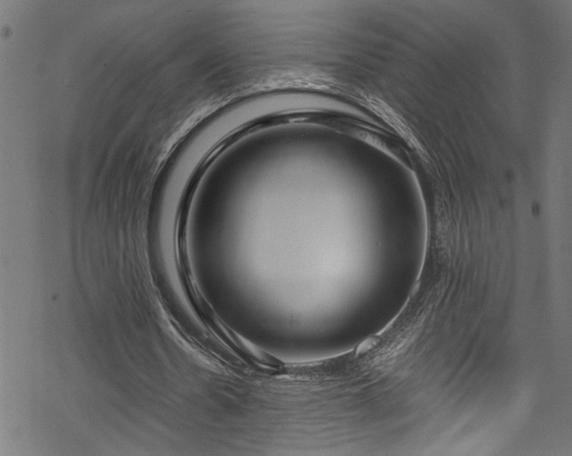 X0000070210530200605301405