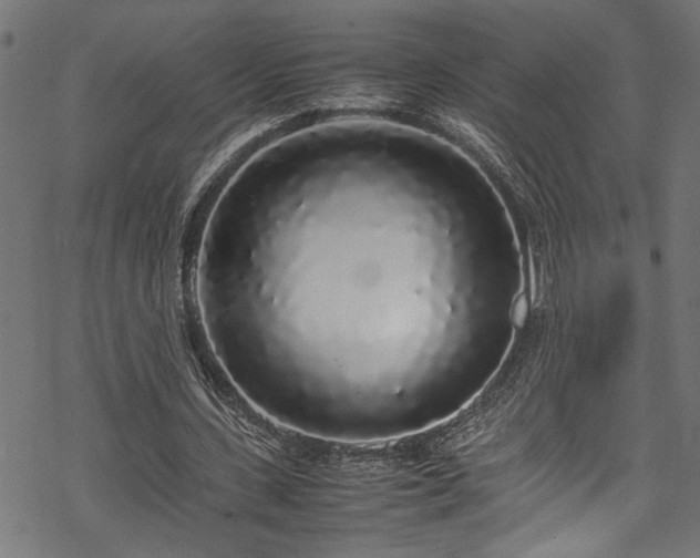 X0000070210531200605301405