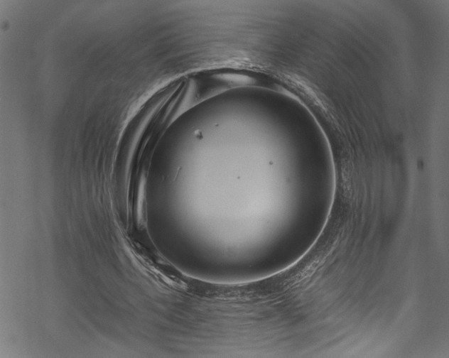 X0000070210532200605301405