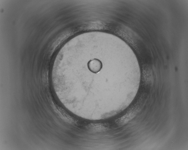 X0000070210534200605301405