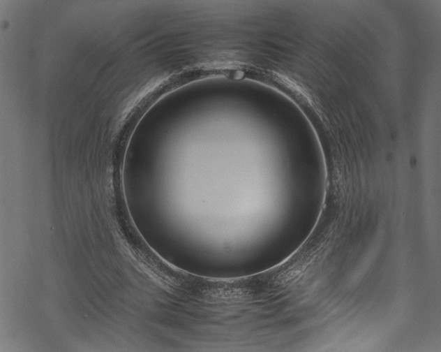 X0000070210535200605301405