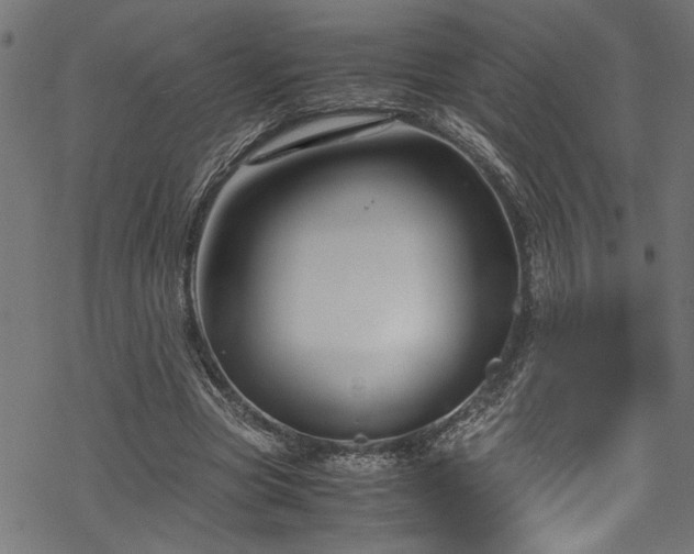 X0000070210537200605301405