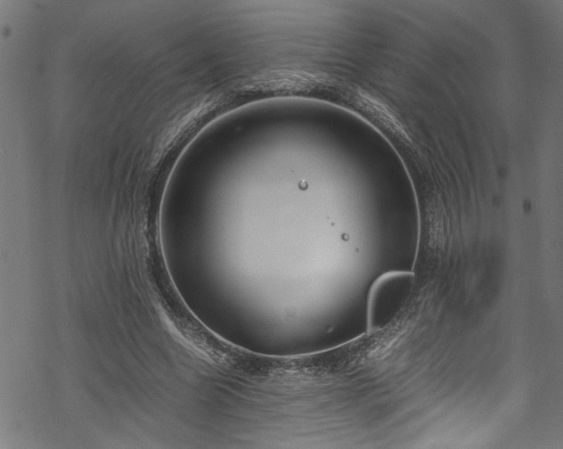 X0000070210538200605301405