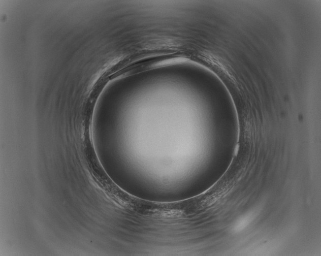 X0000070210539200605301405