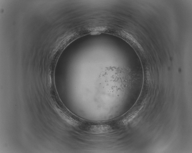 X0000070210541200605301405