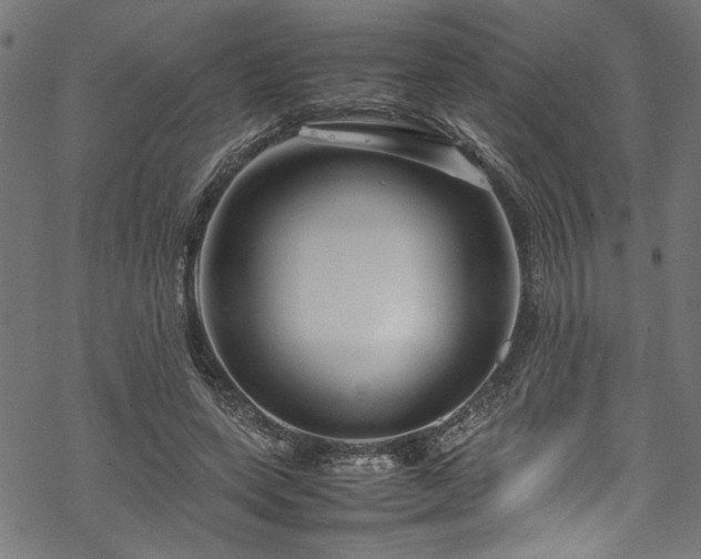 X0000070210543200605301405