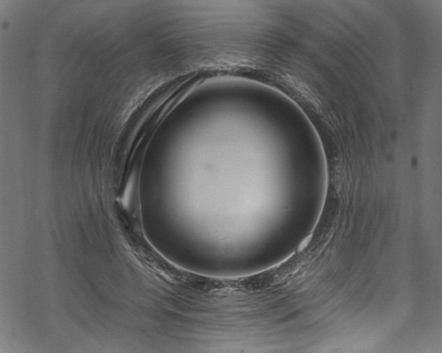 X0000070210544200605301405