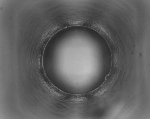 X0000070210545200605301405