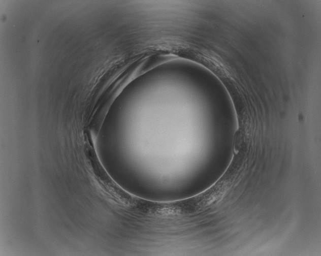 X0000070210546200605301405