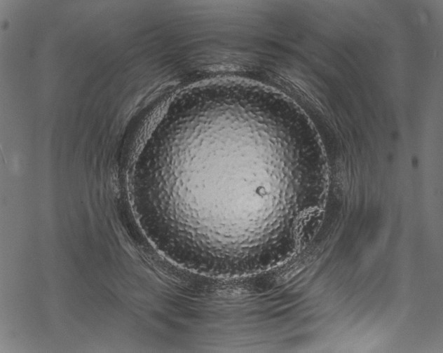 X0000070210547200605301405