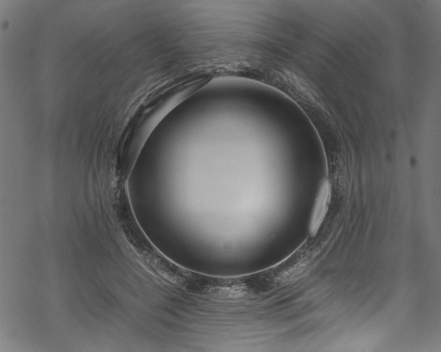 X0000070210548200605301405