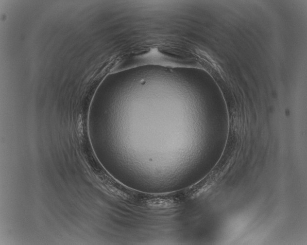 X0000070210549200605301405