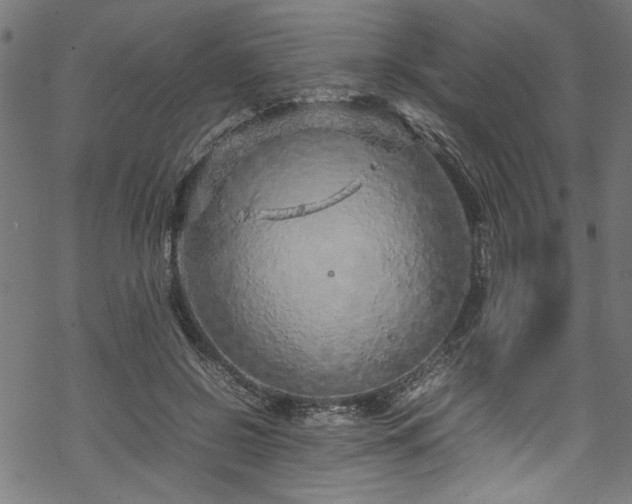 X0000070210550200605301405