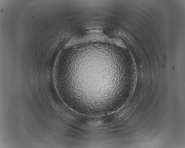 X0000070210551200605301405