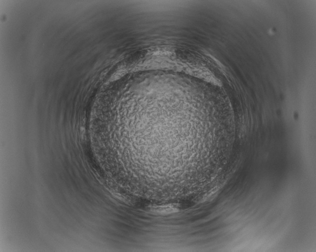 X0000070210553200605301405