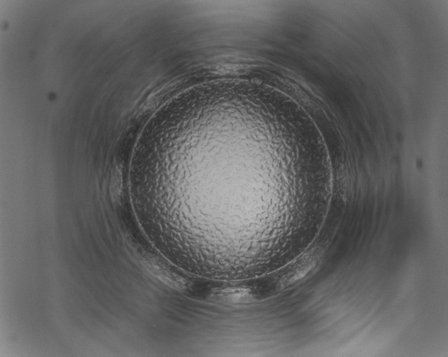 X0000070210554200605301405