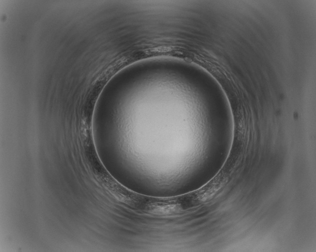 X0000070210555200605301405