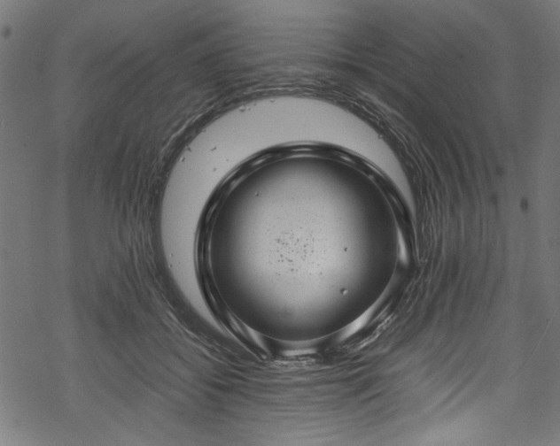 X0000070210556200605301405