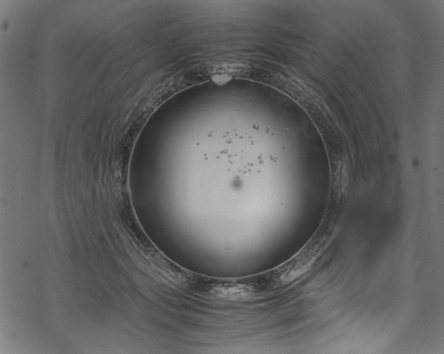 X0000070210557200605301405