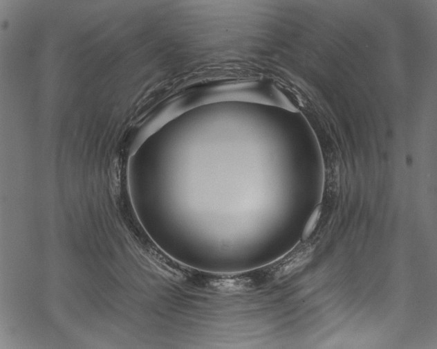 X0000070210558200605301405