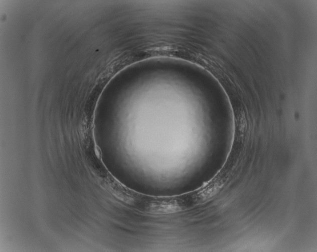 X0000070210559200605301405