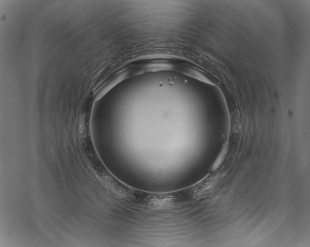 X0000070210560200605301405