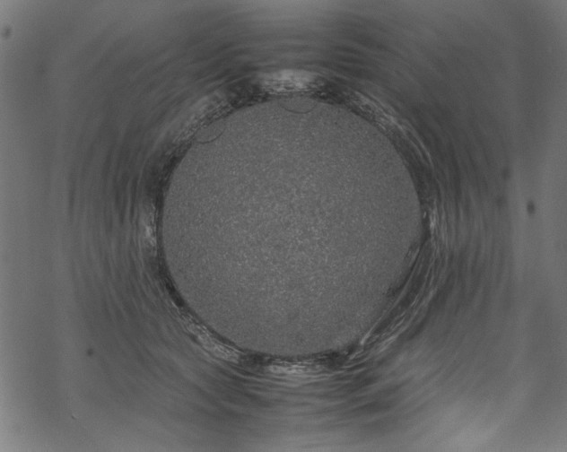 X0000070210561200605301405