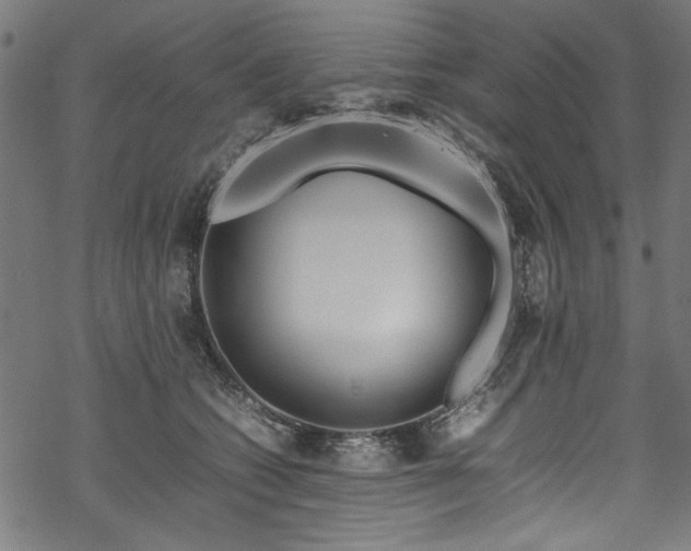 X0000070210562200605301405