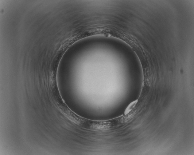 X0000070210563200605301405